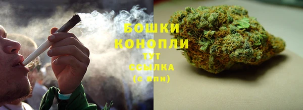 кокс Белокуриха