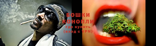 кокс Белокуриха