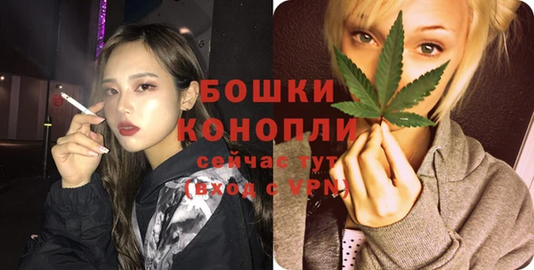 кокс Белокуриха