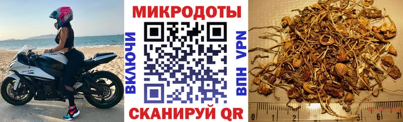 Галлюциногенные грибы мицелий  Ельня 